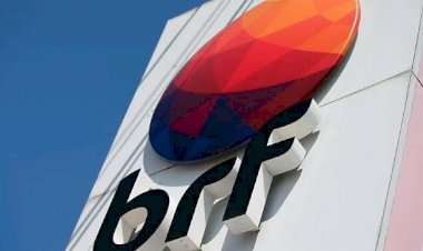 MPT processa MBRF por dezenas de abortos espontâneos de funcionárias em MT