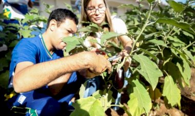 Governo de MT lança edital para hortas escolares em 300 unidades da rede estadual