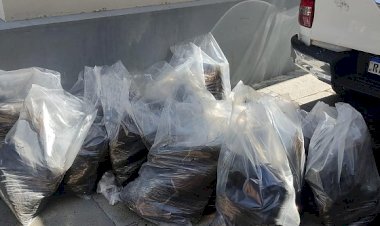 Mais de meia tonelada de material utilizado na produção de drogas é apreendido na BR-070, em Barra do Garças