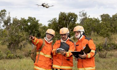Bombeiros combatem 12 incêndios em MT; Ribeirão Cascalheira está entre cidades atingidas