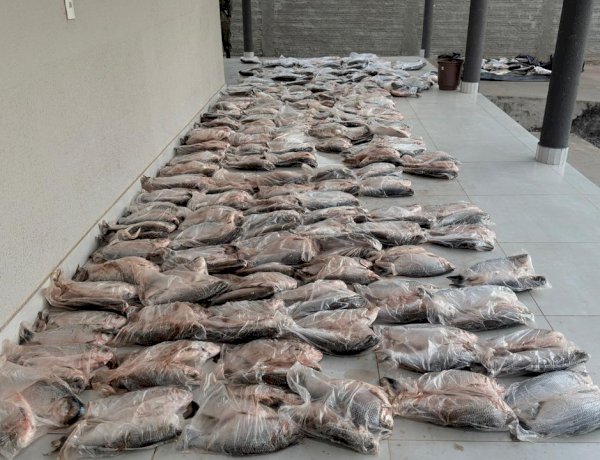 PM apreende mais de 500 peixes durante abordagem na MT-020 em Campinápolis