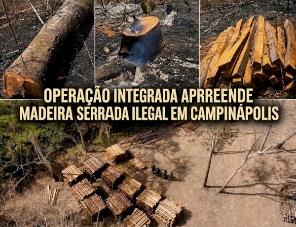 PM e Ibama apreendem grande quantidade de madeira serrada armazenada clandestinamente em Campinápolis