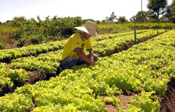 Sefaz reduz tempo para liberação de inscrição estadual de micro e produtores rurais