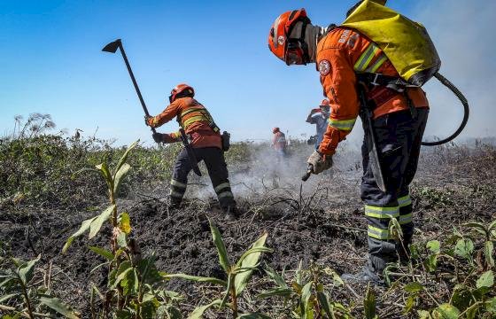Barra do Garças e Água Boa têm 12 vagas para brigadistas; salários de R$ 2,4 mil