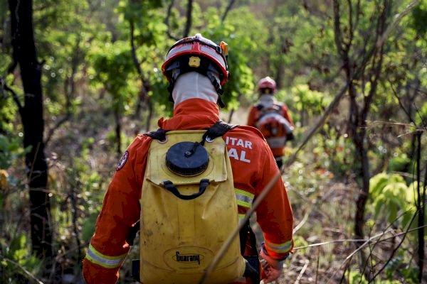 Corpo de Bombeiros extingue três incêndios e combate outros 49 nesta segunda-feira (09)