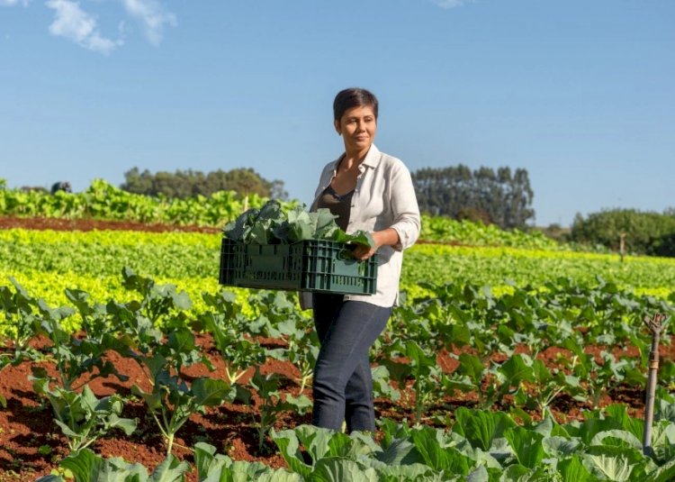 Sicredi reforça financiamento de projetos sustentáveis e amplia carteira de crédito para economia verde