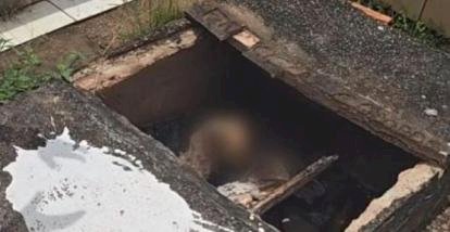 Zelador de cemitério acha túmulo violado com cabeça de porco e corpo esquartejado