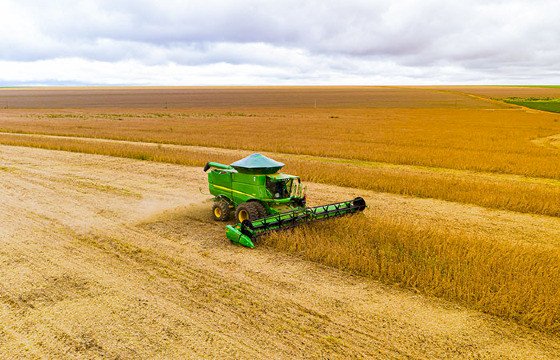 Safra de grãos 24/25 projeta recorde de 332,9 milhões de toneladas