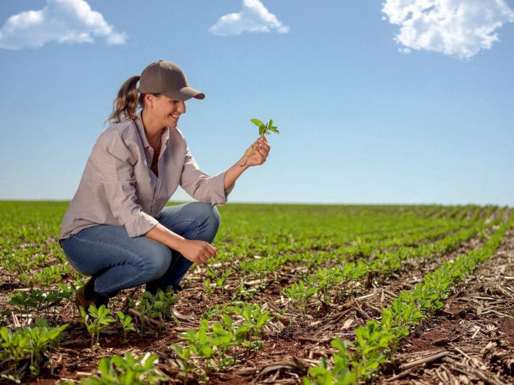 Sicredi reconhece protagonismo feminino e está presente no maior encontro de mulheres do Agronegócio