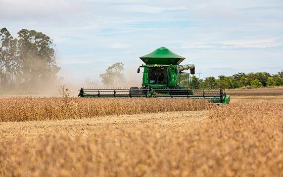 Mato Grosso lidera produção nacional de arroz de sequeiro, aponta Anuário Brasileiro do Arroz 2025