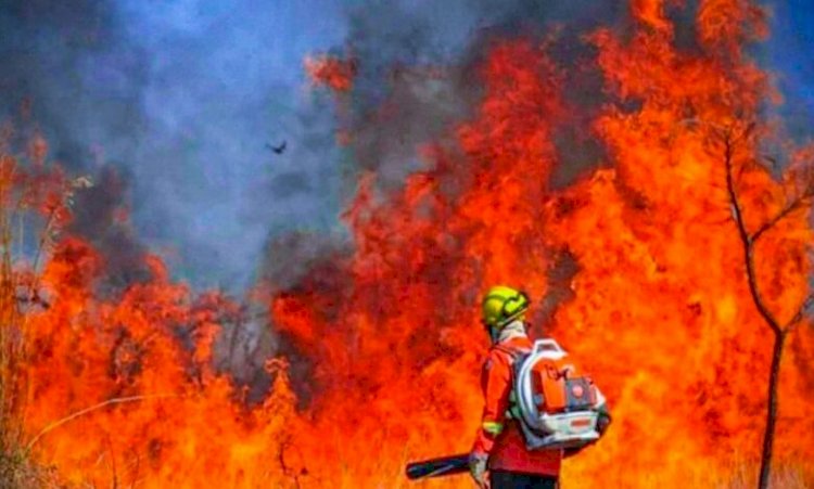 Homem é preso suspeito de atear fogo em área no Jardim Palmares, em Barra do Garças