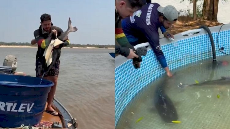 Projeto de reprodução de peixes em cativeiro ajuda a repovoar o Araguaia