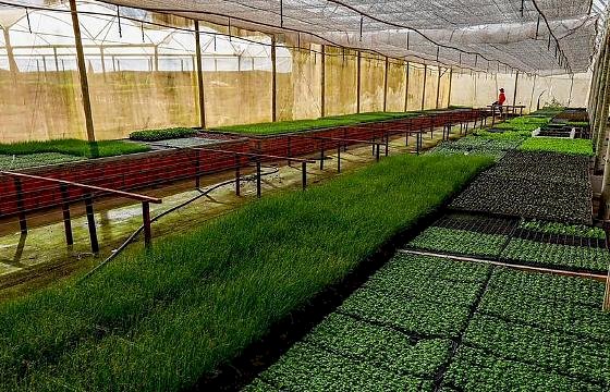 Seaf e Banco Mundial promovem missão técnica para lançamento do Programa MT Produtivo – Desenvolvimento e Sustentabilidade