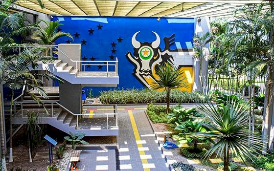 Governo de MT vai mostrar como aliar produção de alimentos e preservação ambiental na COP 30