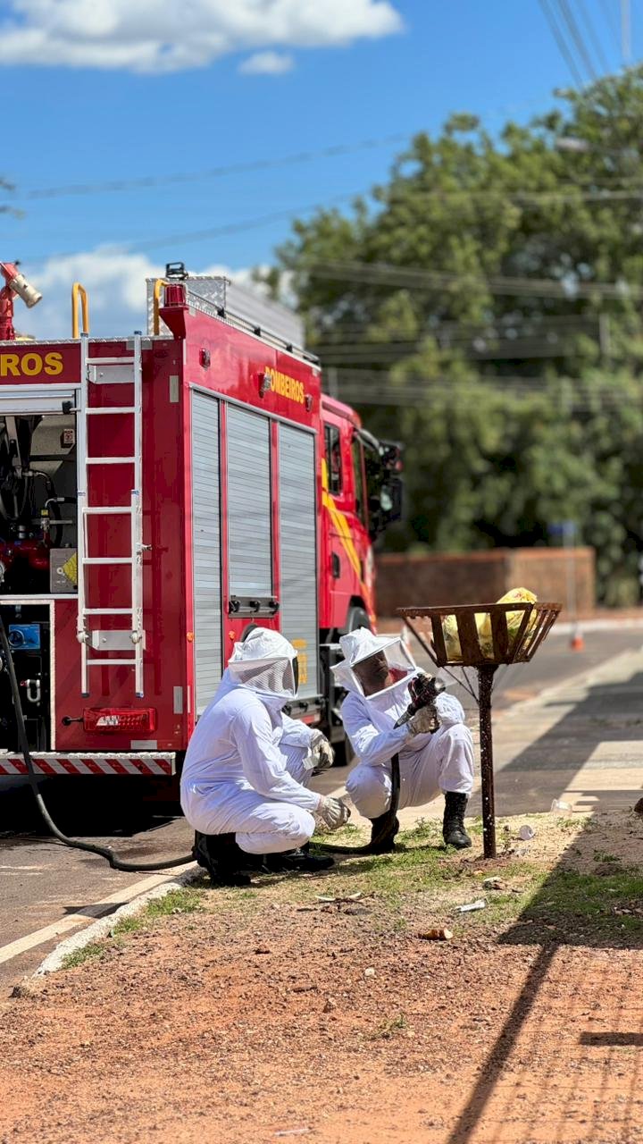 Corpo de Bombeiros Militar de Água Boa ultrapassa a marca de mil atendimentos em 4 meses