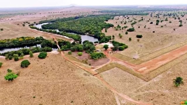 Aos 75 anos, Amado Batista tem fortuna de R$ 1 bilhão e ganha R$ 120 milhões por ano com gado