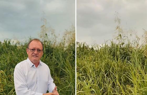 Combate à dengue: prefeito cobra apoio da população na limpeza de terrenos em Querência