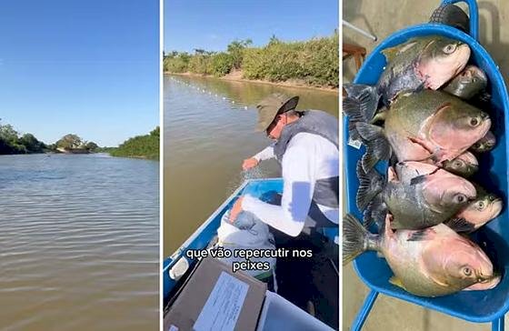 Presença de peixe da Amazônia no Rio Araguaia acende alerta entre especialistas
