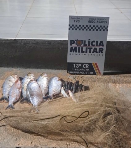 PM apreende mais de 10 kg de pescado durante patrulhamento rural em Campinápolis
