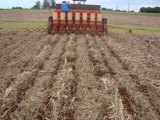 Produtores começam a semeadura em Nova Xavantina após chuvas pontuais